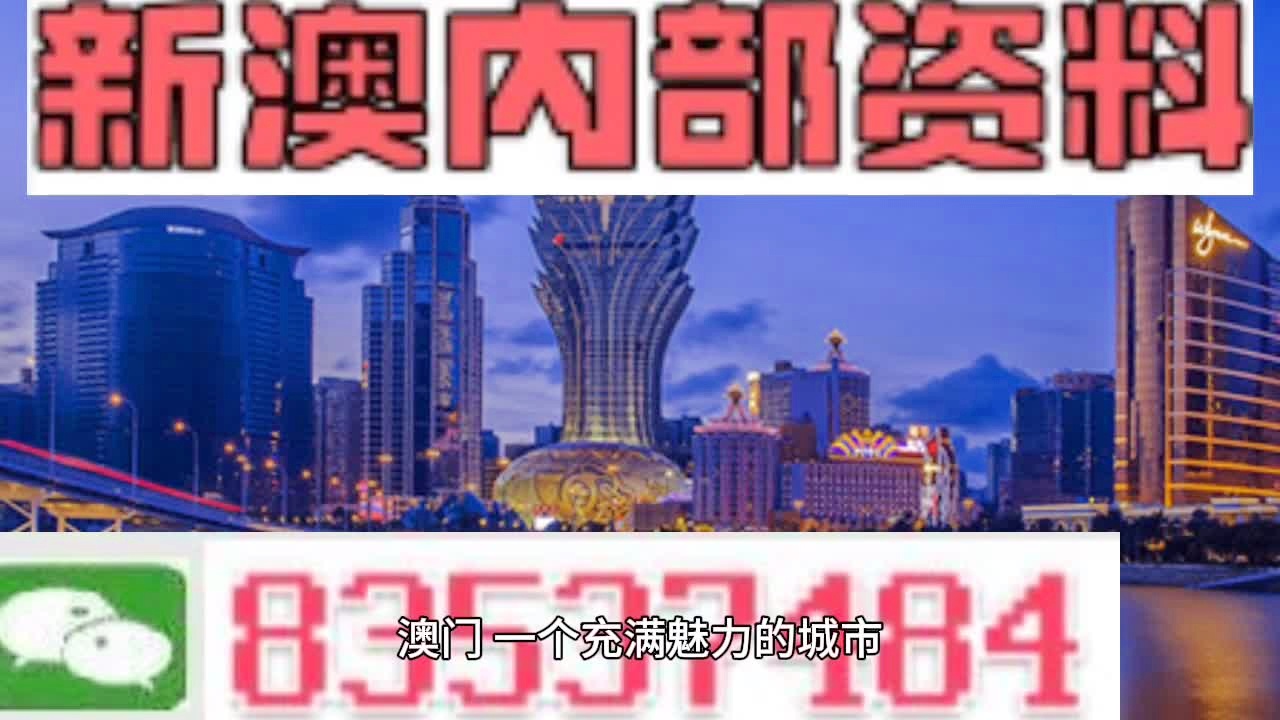 澳门广东二八站,最新答案解释落实_豪华版180.300