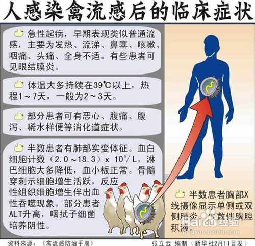 南通禽流感最新动态，全面防控，确保人民群众健康安全